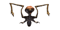 Mauler